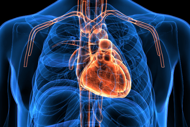 Gray's Anatomy for Students