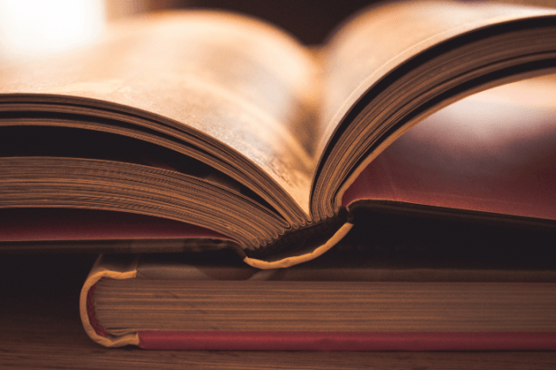 Resumo Do Livro A Escrava Isaura de Bernardo Guimarães 