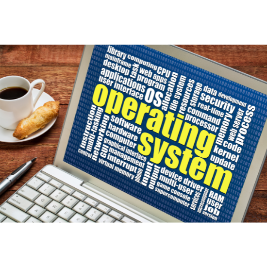 Sistemas Operacionais Modernos (Andrew Tanenbaum)