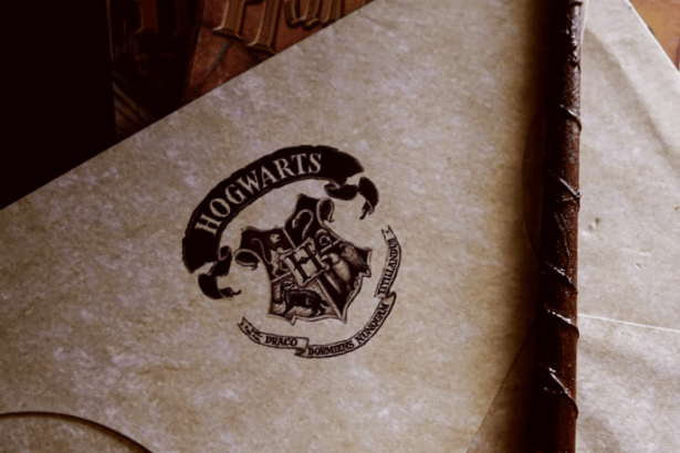 Resumo Detalhado de Harry Potter e o Cálice de Fogo (2005)