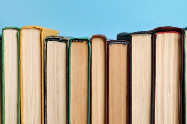 Resumo Detalhado do Livro Casa-Grande & Senzala de Gilberto Freyre