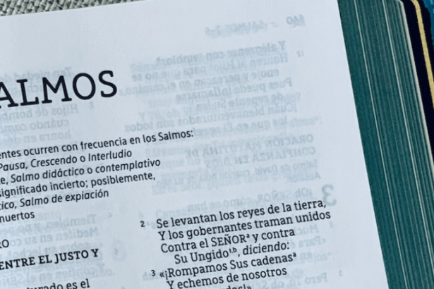 Resumo de Salmos Poesia Espiritual e Reflexões Humanas na Bíblia