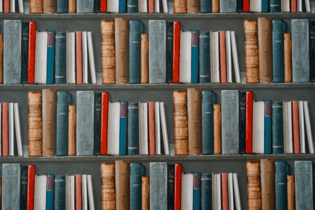 Resumo do Livro Casa Velha por Machado de Assis