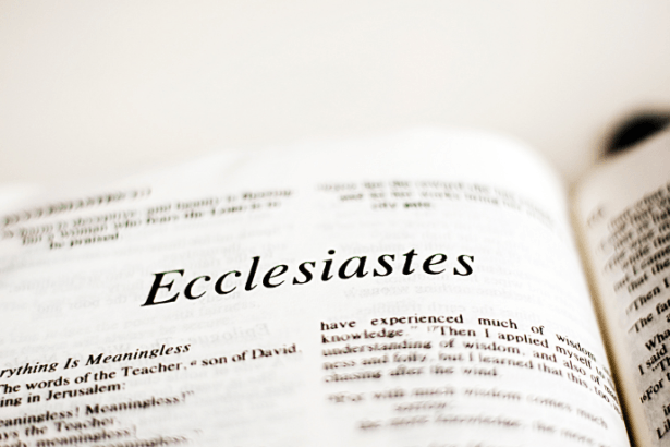 Resumo do Livro Eclesiaste Reflexões sobre a Vaidade da Vida e a Busca pela Sabedoria