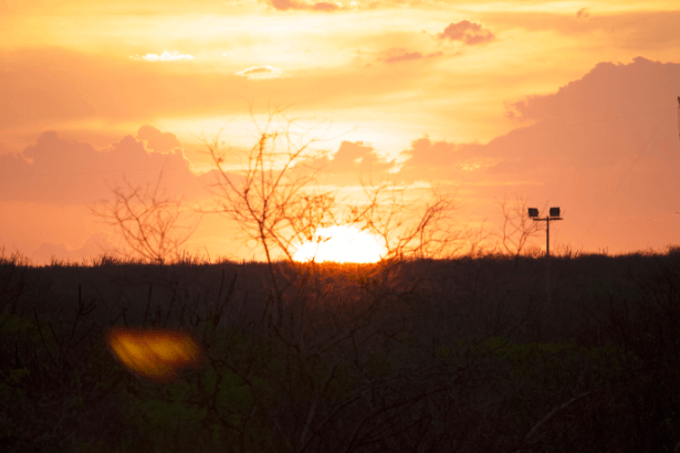 Resumo do Livro O Auto da Compadecida Uma Comédia Sertaneja e Crítica Social