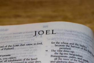 Resumo do Livro de Joel na Bíblia