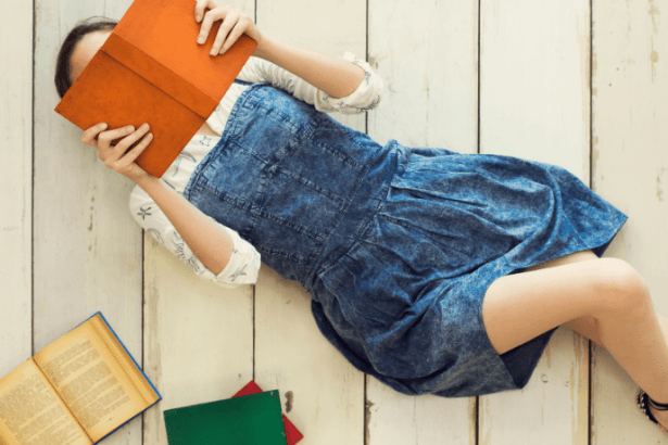 "Minha Vida Fora de Série - 2ª Temporada" por Paula Pimenta: Um Romance Adolescente de Descobertas