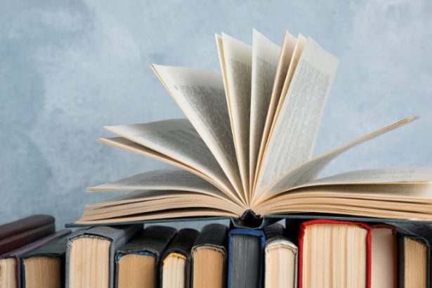 Resumo Detalhado de Quem é Você, Alasca? de John Green