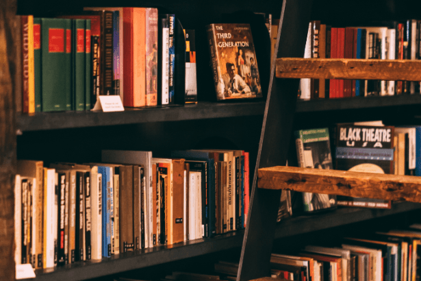 Resumo Detalhado do Livro O Quinze de Rachel de Queiroz