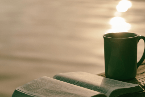 Resumo de "A Herdeira" (The Heir) por Kiera Cass - Uma Nova Geração de Seleção