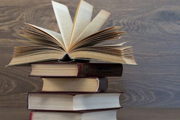 Resumo de O Auto da Barca do Inferno de Gil Vicente Uma Viagem ao Além