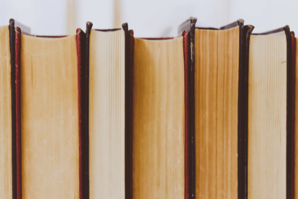 Resumo de O Mez da Grippe de Valêncio Xavier