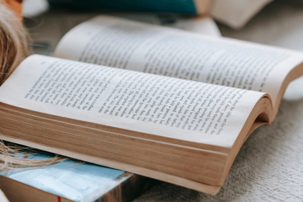 Resumo do Livro Memorial de Aires de Machado de Assis