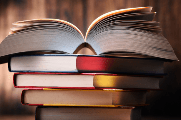Resumo do Livro Ponciá Vicêncio de Conceição Evaristo
