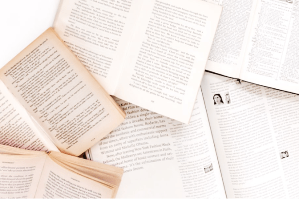 Resumo do Livro Processamento Digital de Imagens de Rafael C. Gonzalez e Richard E. Woods