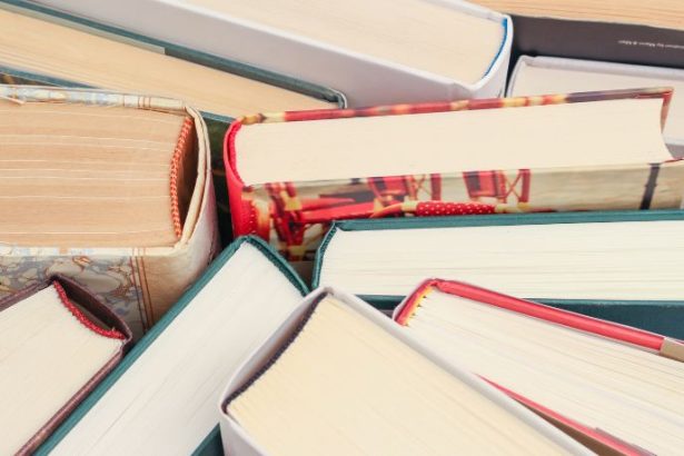 Resumo do Livro São Bernardo de Graciliano Ramos