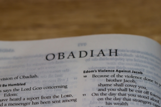 Resumo do Livro de Obadias da Bíblia