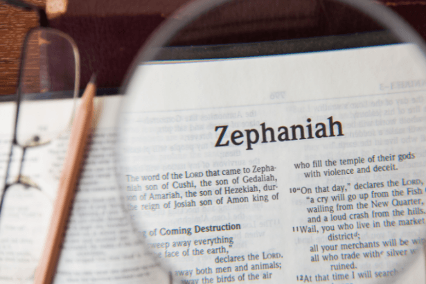 Resumo do Livro de Sofonias A Profecia da Ira e Esperança Divina