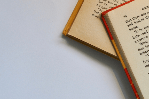 Resumo de Ciranda de Pedra de Lygia Fagundes Telles