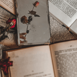 Resumo de Anne da Ilha por L.M. Montgomery