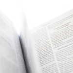 Resumo do livro Buffy the Vampire Slayer Encyclopedia The Ultimate Guide to the Buffyverse por Nancy Holder