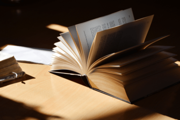 Resumo Cidadania Racial Políticas de Ação Afirmativa no Brasil Contemporâneo