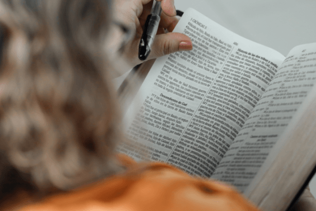 Resumo de O Livro de Jó Lidando com o Sofrimento