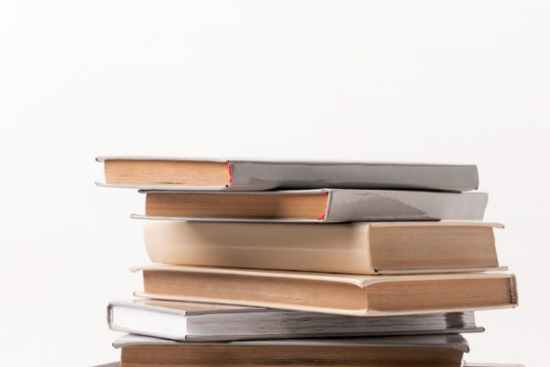 Resumo Expandido de "A Breve Segunda Vida de Bree Tanner" de Stephenie Meyer