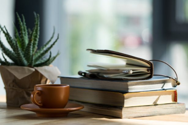 Resumo de "A Educação Sentimental" por Gustave Flaubert