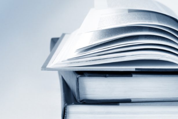 Resumo de Os Pilares da Terra por Ken Follett