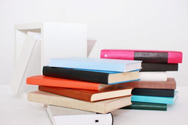 Resumo de Uma Passagem para a Índia por E.M. Forster