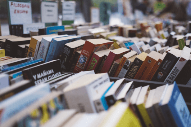 Resumo do livro "Grande Sertão: Veredas" de Guimarães Rosa