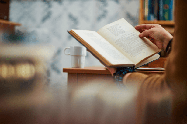 Resumo do livro "Canaã" - Graça Aranha