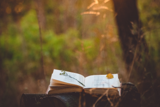 Resumo do livro "O Inverno da Nossa Desesperança" - John Steinbec