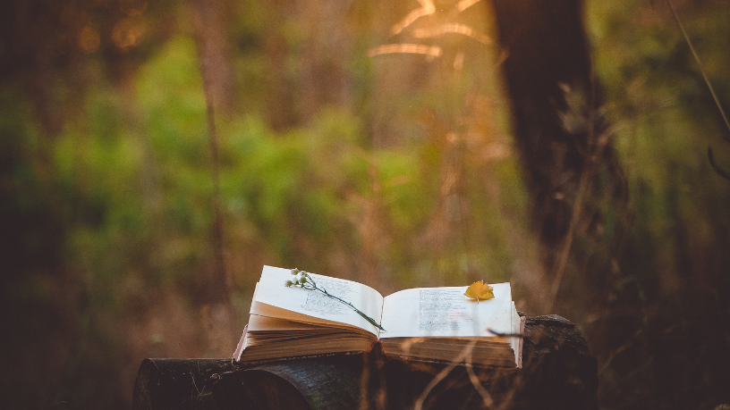 Resumo do livro "O Inverno da Nossa Desesperança" - John Steinbec