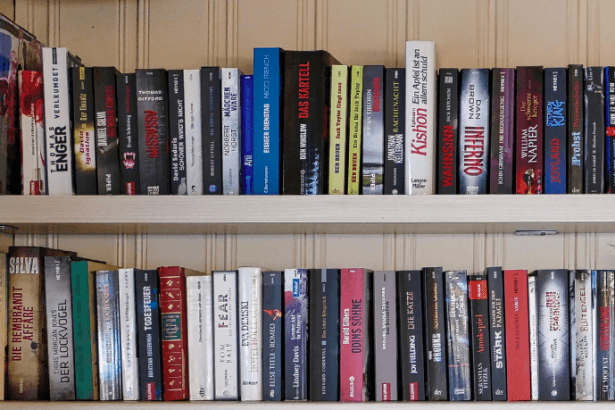 Resumo do livro "Em Busca do Sonho: A Jornada de La La Land" - Amanda Farias