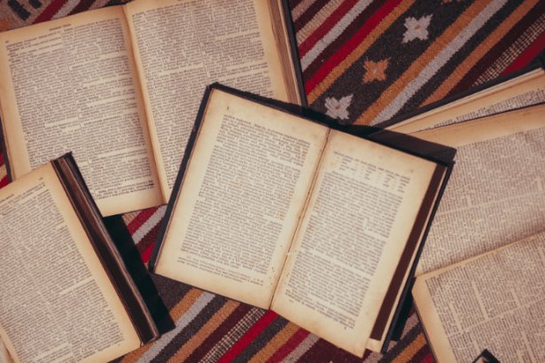 Resumo do livro "O Homem que Sabia Javanês e Outros Contos" – Lima Barreto