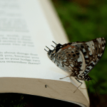 Resumo do livro "Os Versos do Silêncio por Carolina Mendes Ferreira"