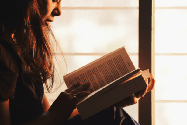 Resumo do livro "Quincas Borba" – Machado de Assis