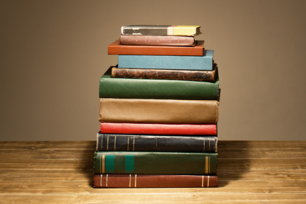 Resumo do livro "O Filho do Carpinteiro" por Elizabeth George Speare