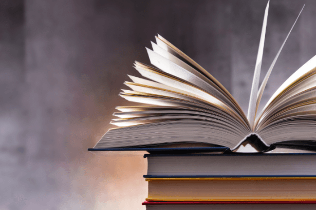Resumo do livro "O Sapo e a Fonte Mágica" por Ricardo Oliveira Lima