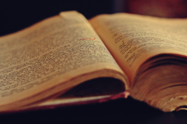 Resumo do livro "Rute: A Jornada de uma Mulher de Fé" por Francine Rivers