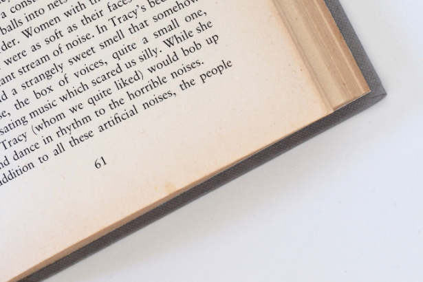 Resumo do livro "A Casa dos Encontrados" – Reginaldo Pujol Filho