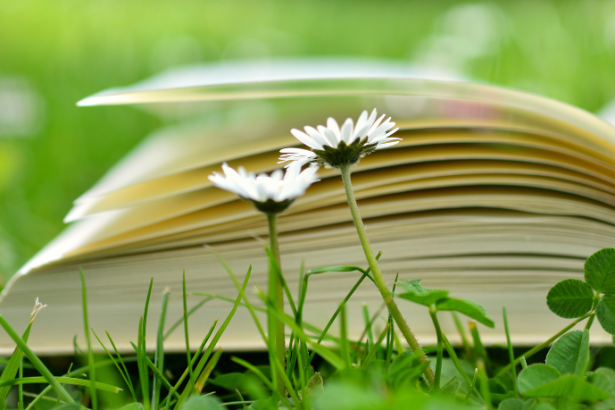 Resumo do livro "A Festa" de Ivan Ângelo