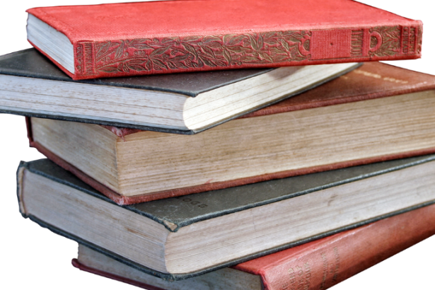 Resumo do livro "A Filha Pródiga Retorna" por Lilian Staveley