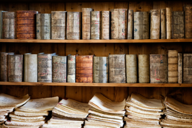 Resumo do livro "A Luz Difícil" por Tomás González