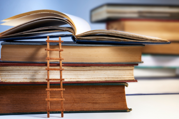 Resumo do livro "A Montanha Mágica" – Thomas Mann