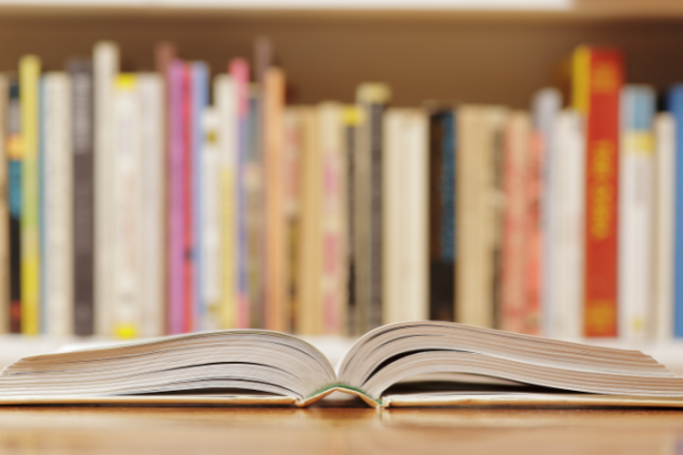 Resumo do livro "A Profecia das Irmãs" por Michelle Zink