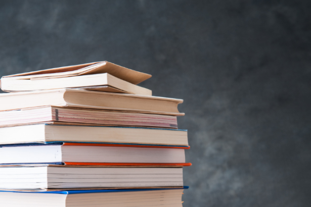 Resumo do livro "A Teoria dos Precedentes no Direito Brasileiro" por Teresa Arruda Alvim