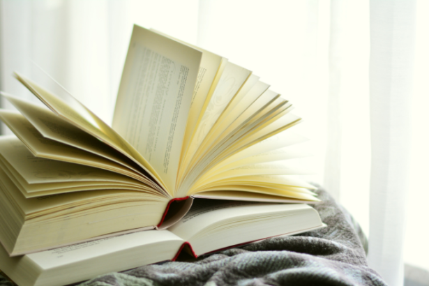 Resumo do livro "Halloween" de Curtis Richards